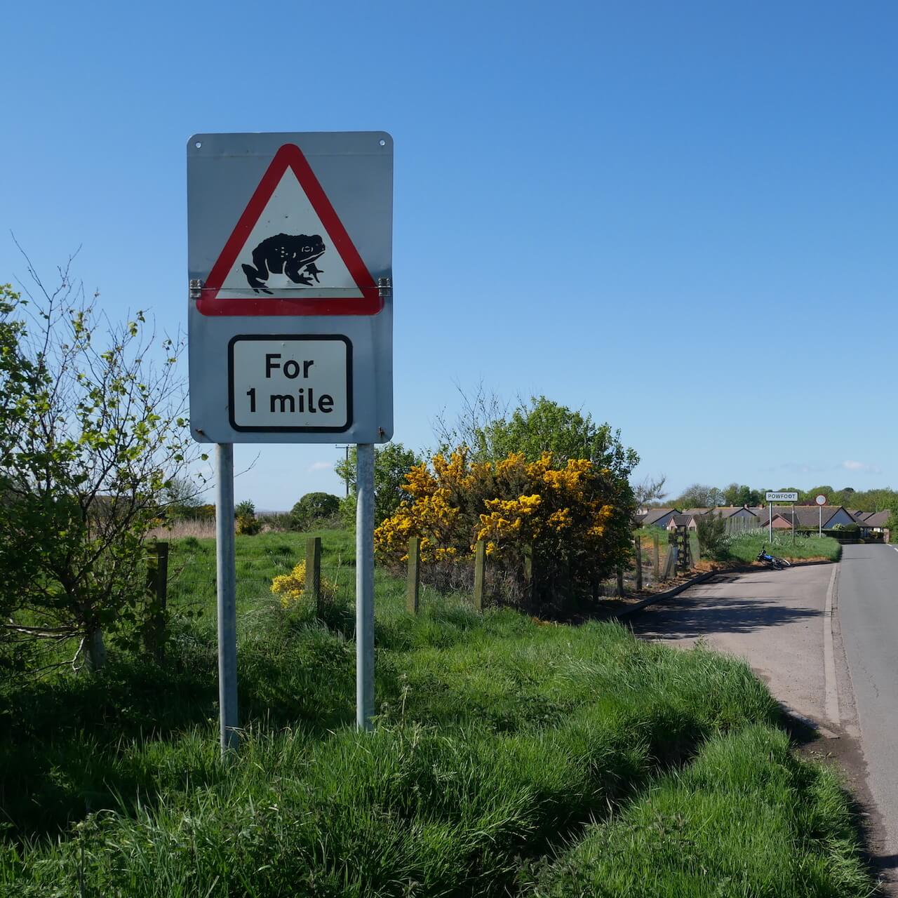 Frog Crossing Sign - Powfoot