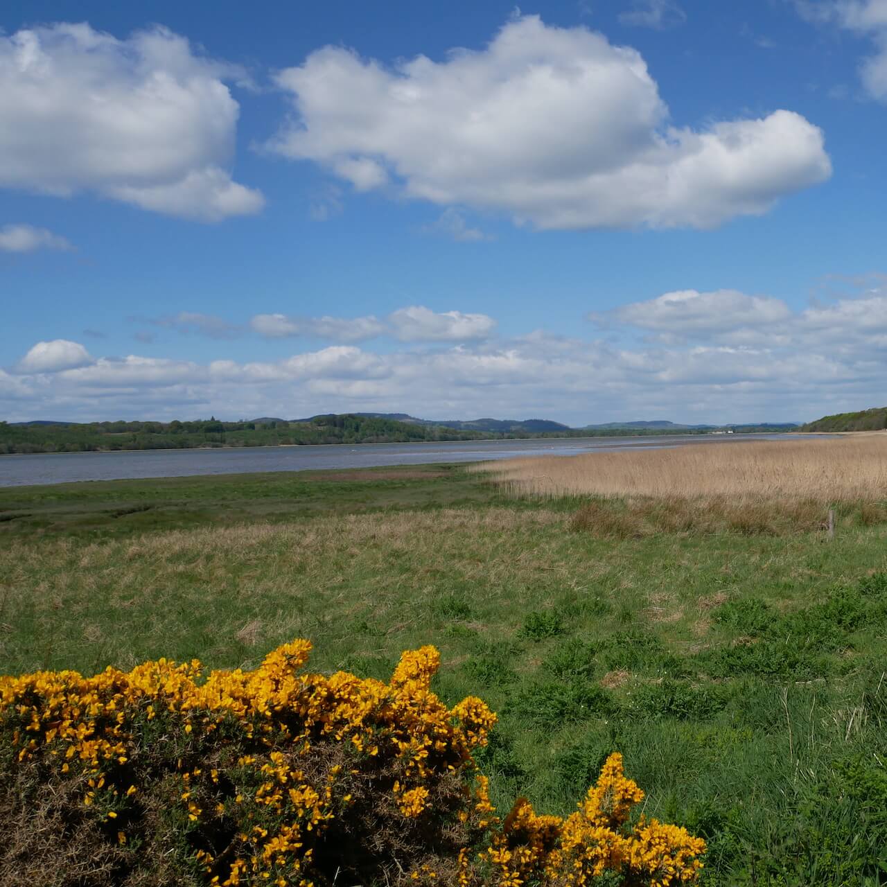 Near the mouth of the Nith