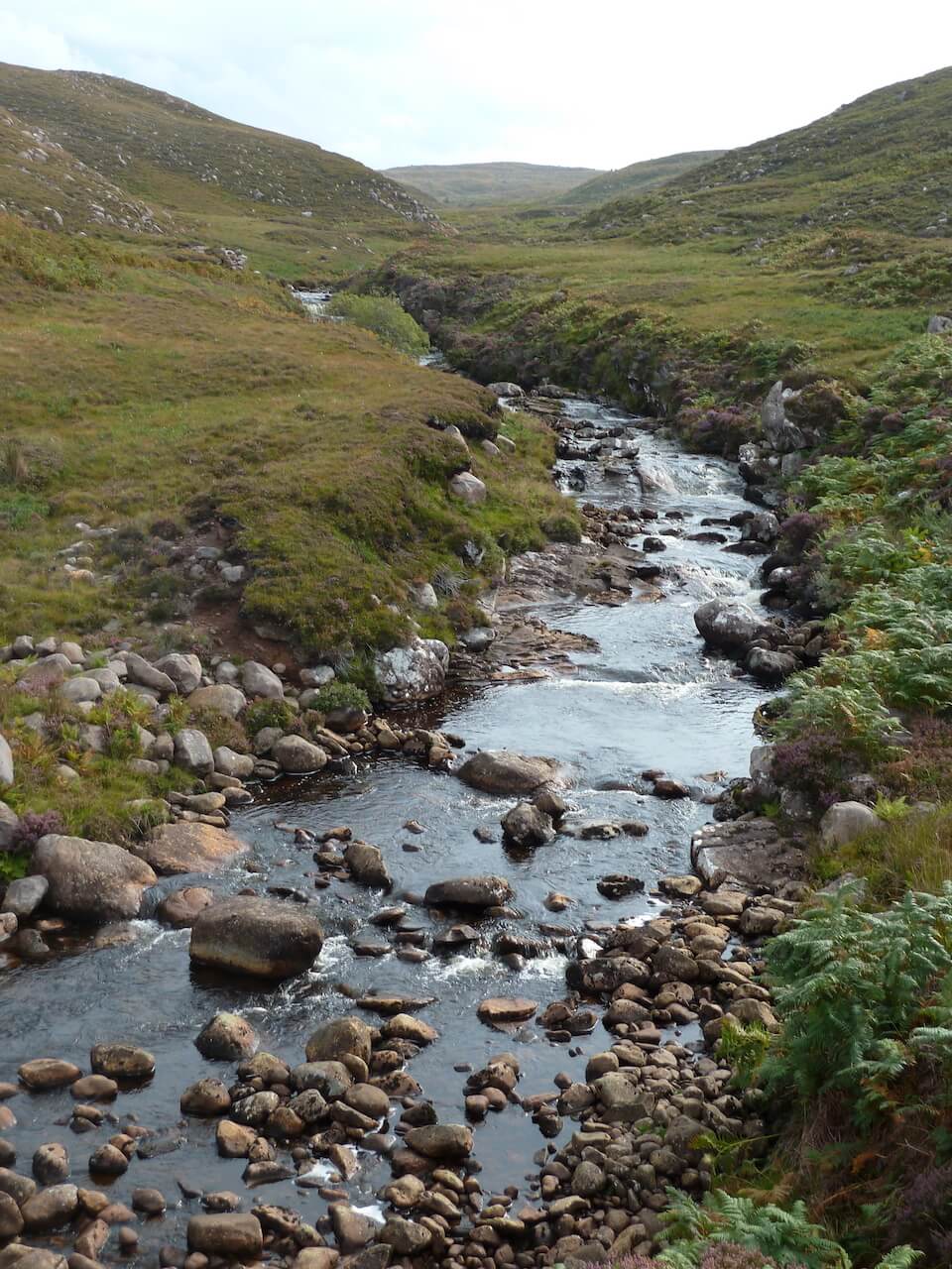 Stream near Kalnakill, Applecross Peninsula