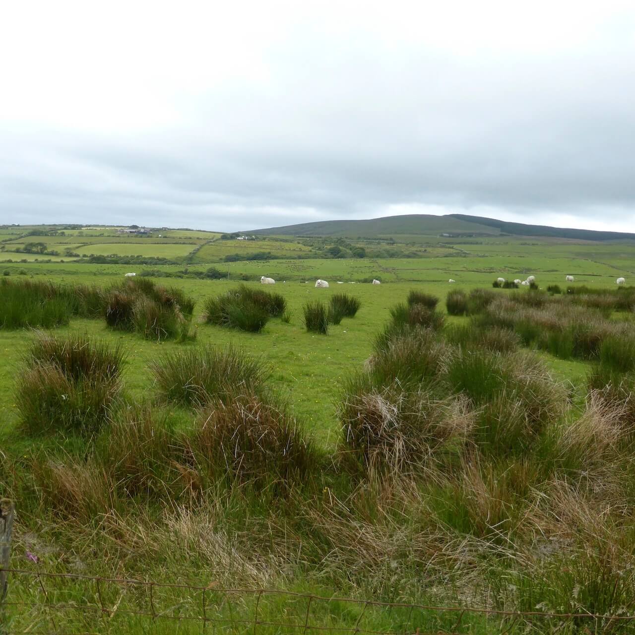 Looking north from the Ross Road, Isle of Arran