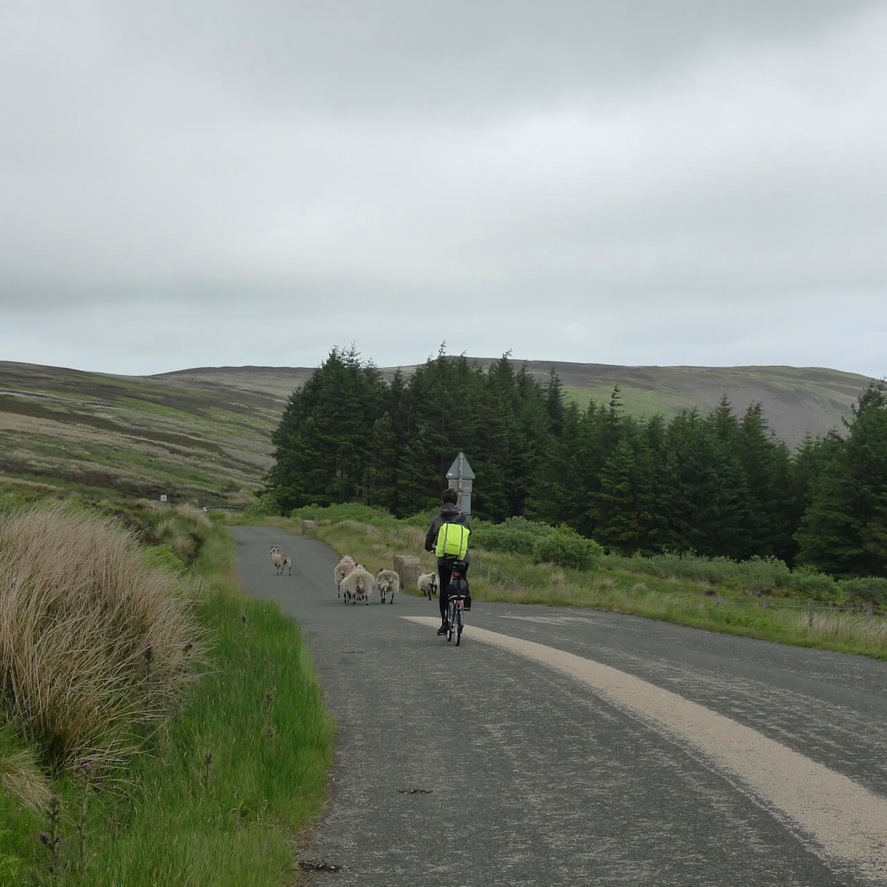 Gridlock, Isle of Arran