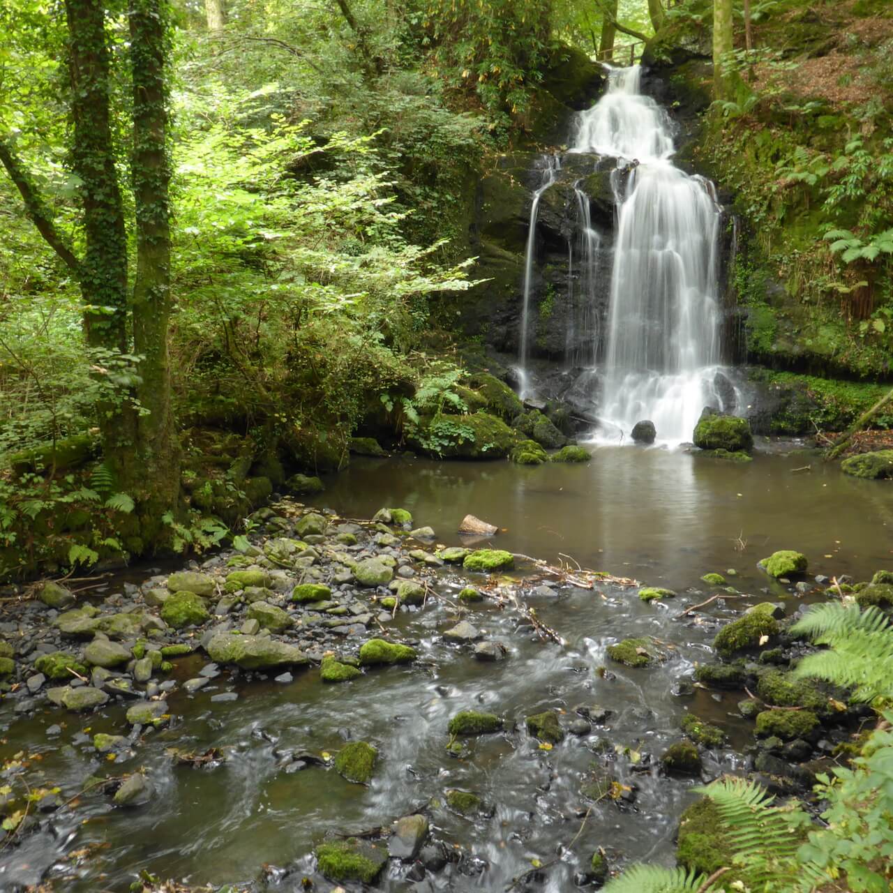 Waterfall at Finlaystone Country Park