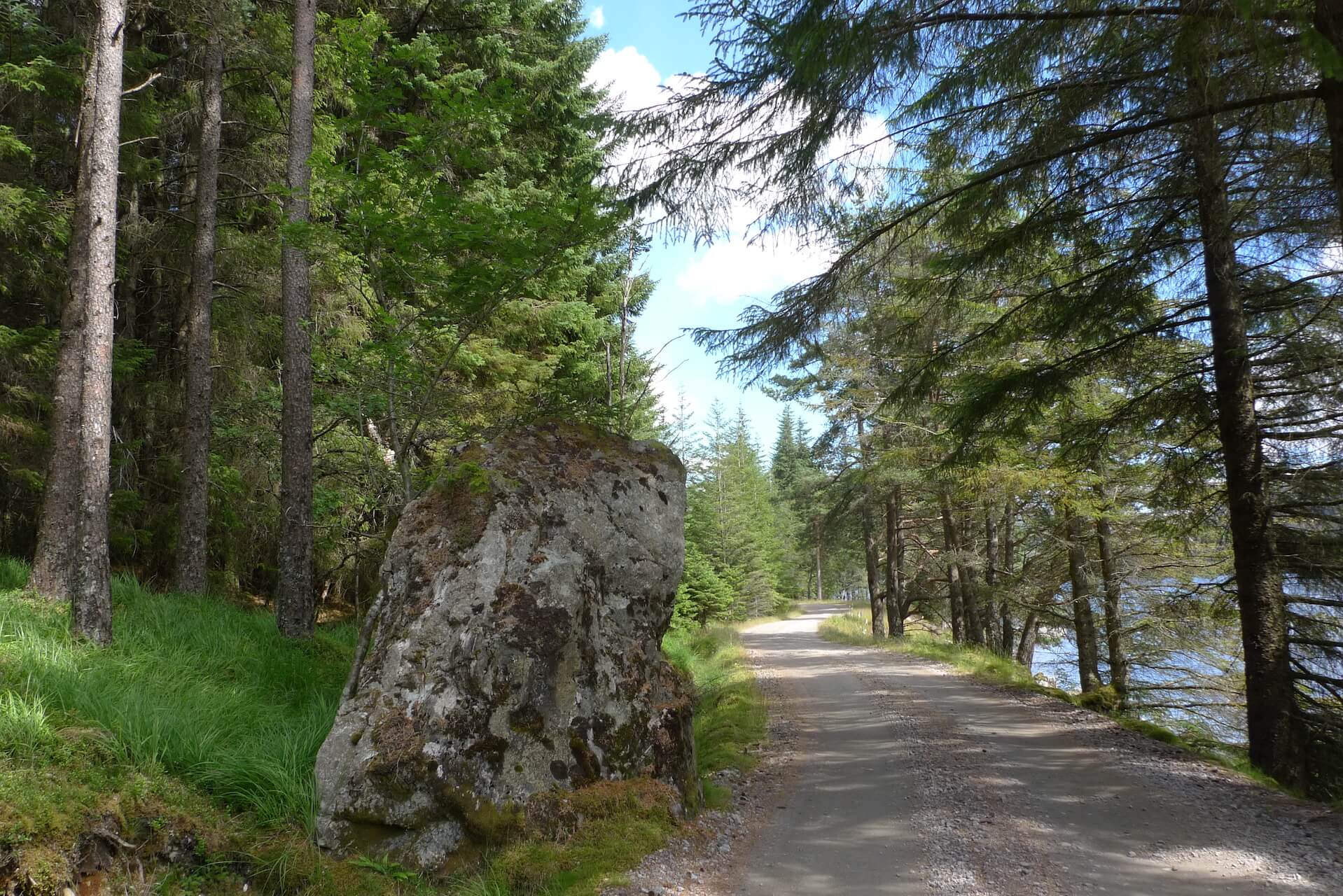 Boulder along a forest track near Corrour Lodge