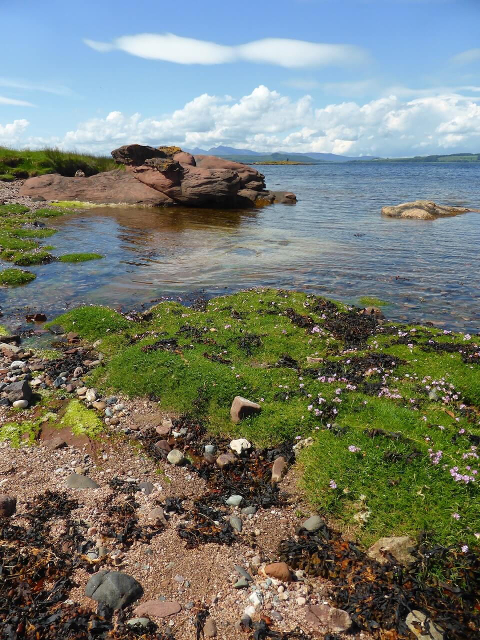 Rockpool on the Isle of Cumbrae