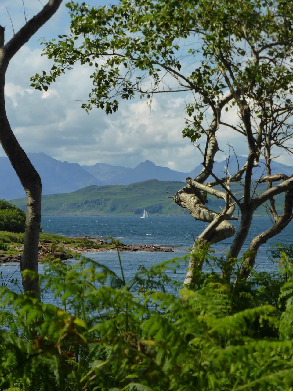 Little Sailboat framed by trees on the Isle of Cumbrae