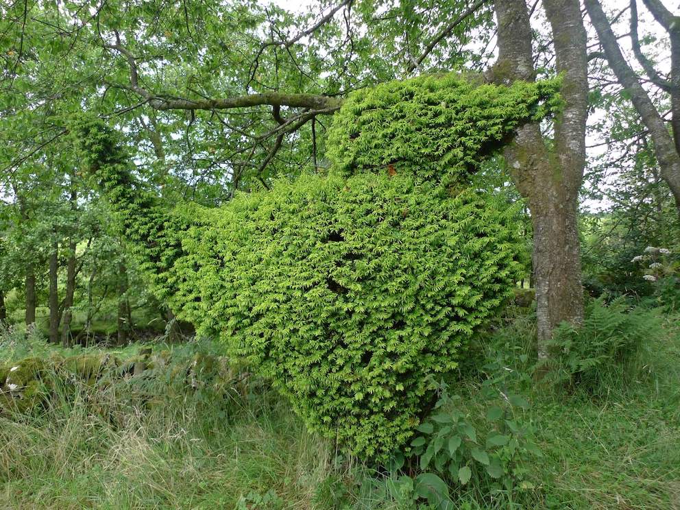 Topiary bird near the Glenkiln Reservoir Glenkiln Loop in Dumfries and Galloway