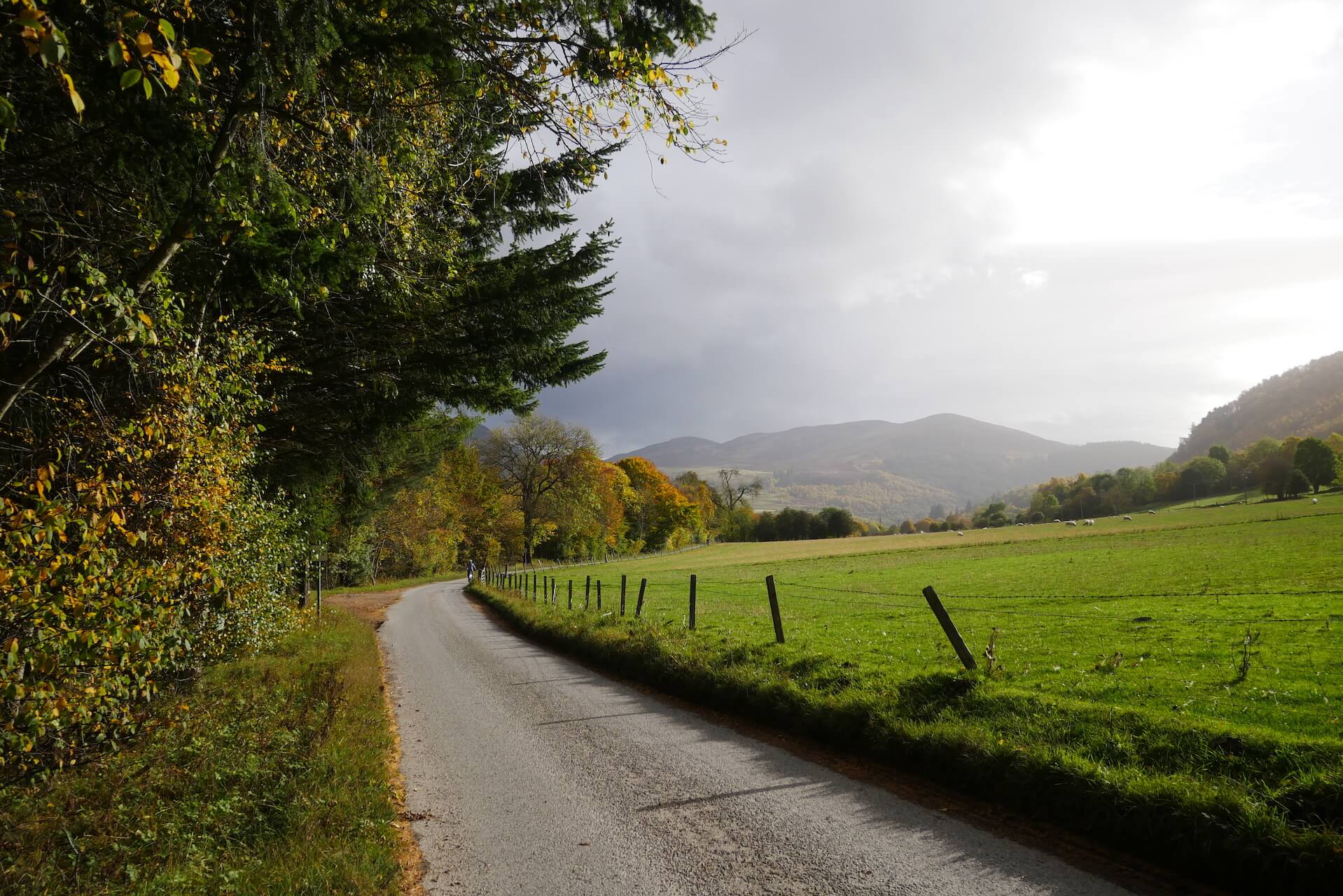 Ben Vrackie