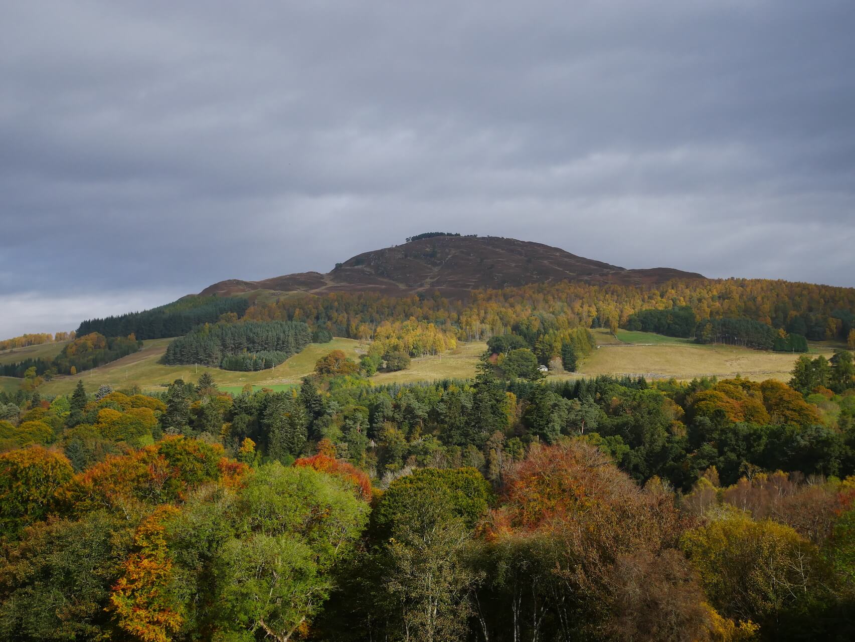 Autumn Foliage