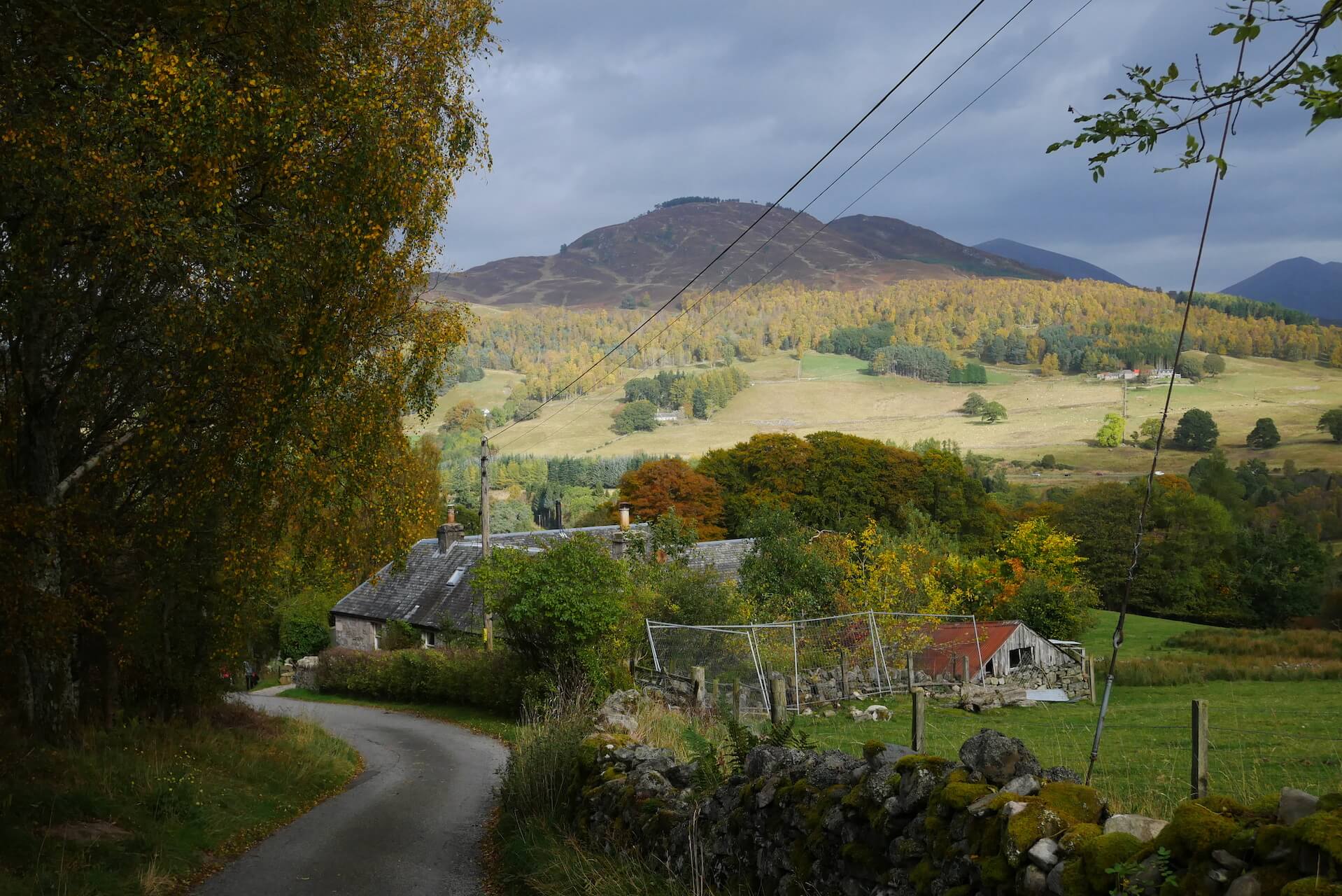 Tenandry Road