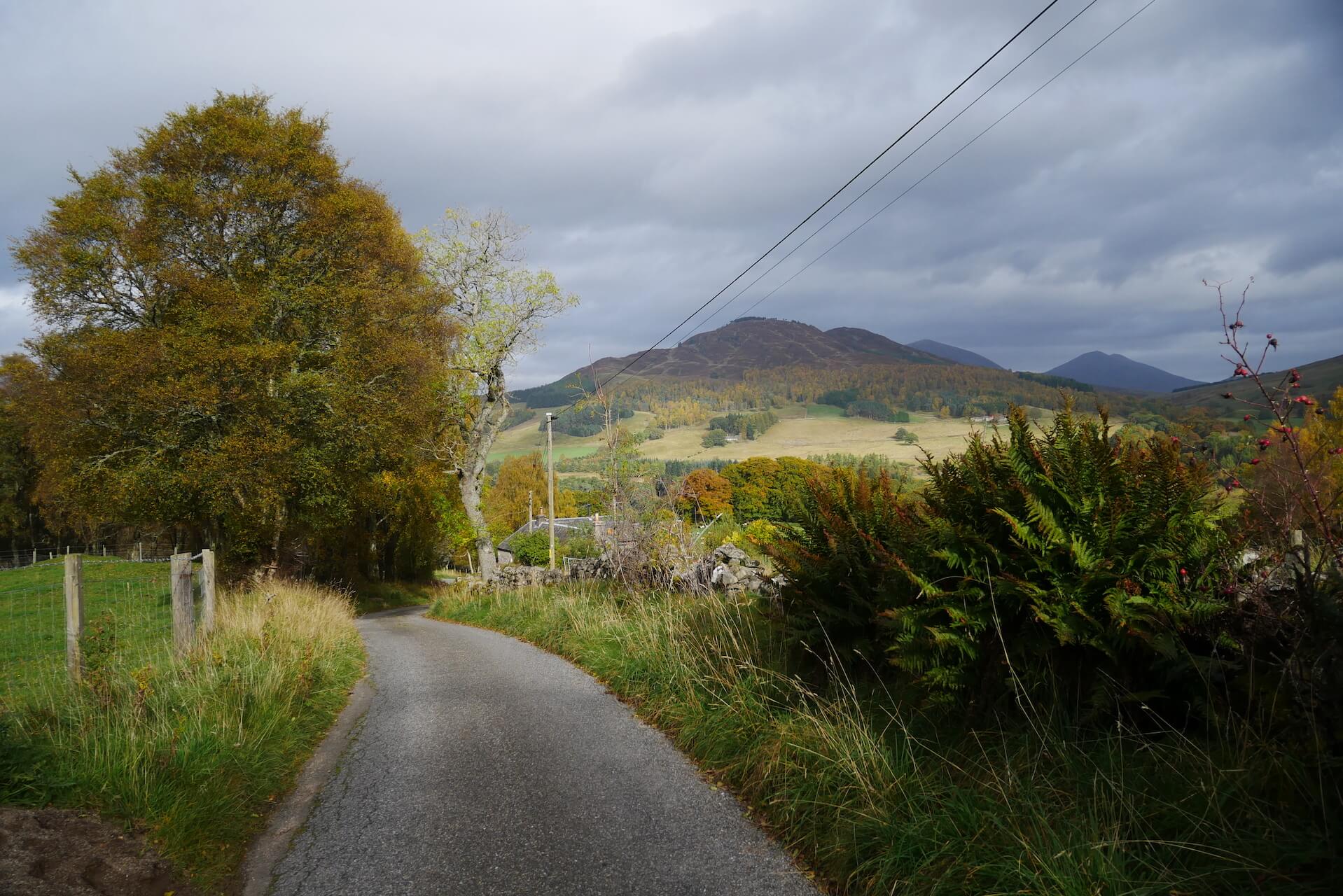 Tenandry Road