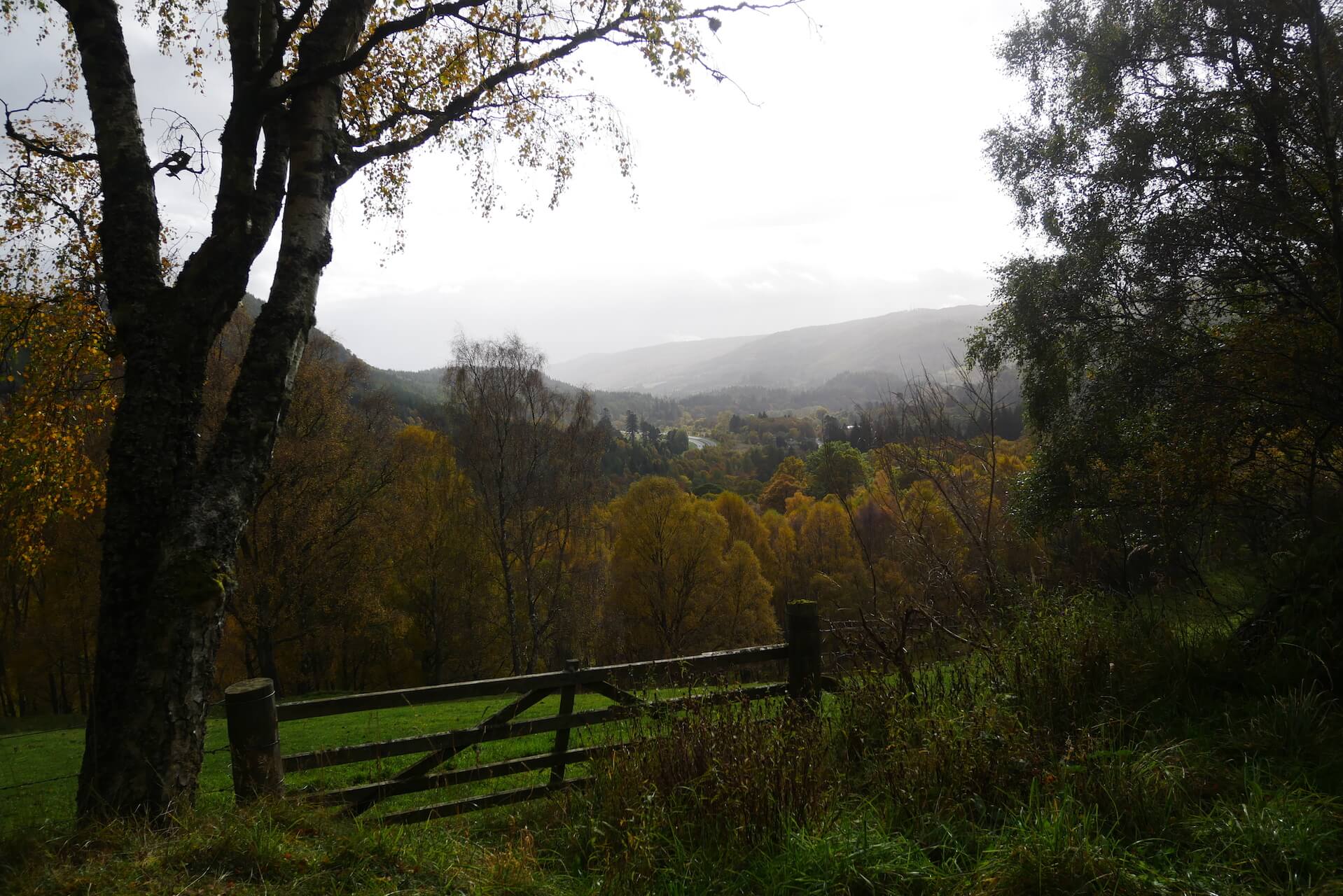 Tenandry Road