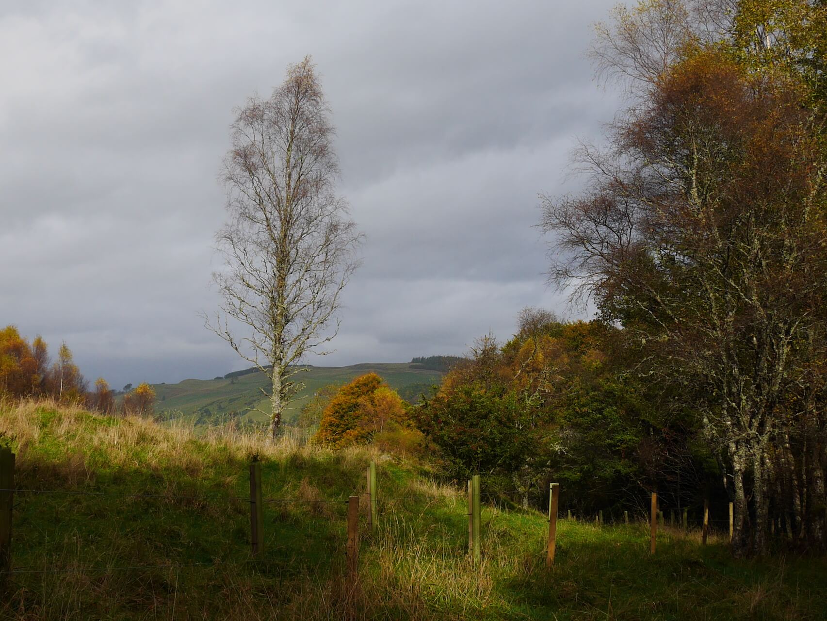 Along the River Garry