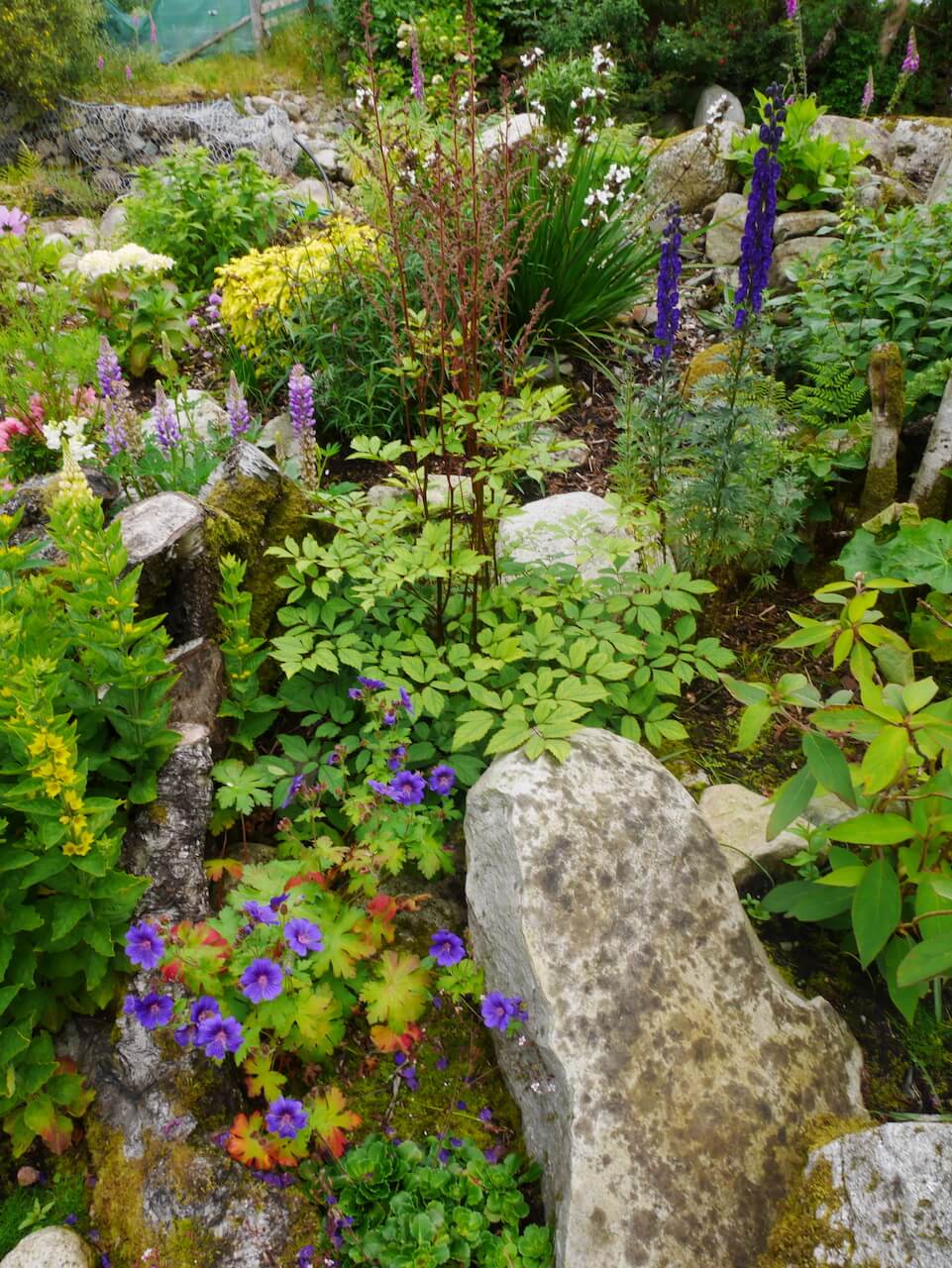 Community Garden in Pirnmill, Isle of Arran