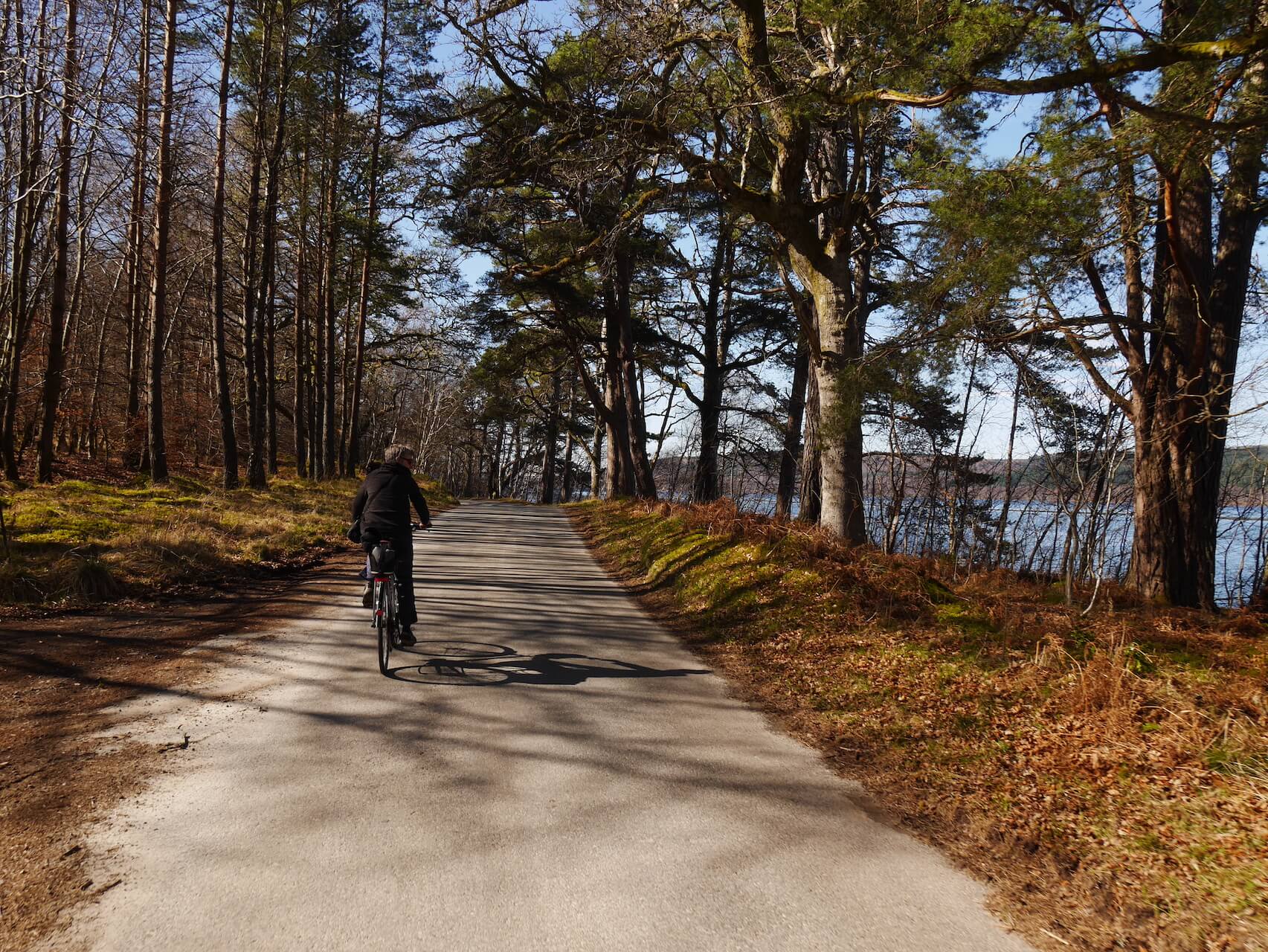 A cyclist on a single track road near Loch Rannoch