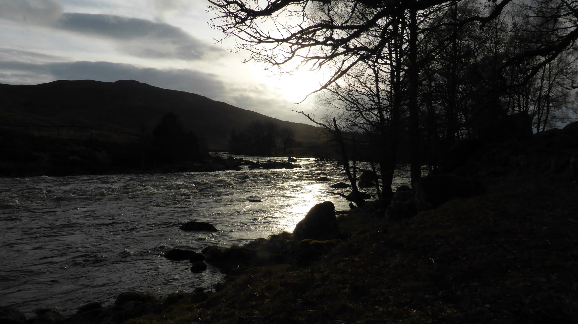 River Gaur