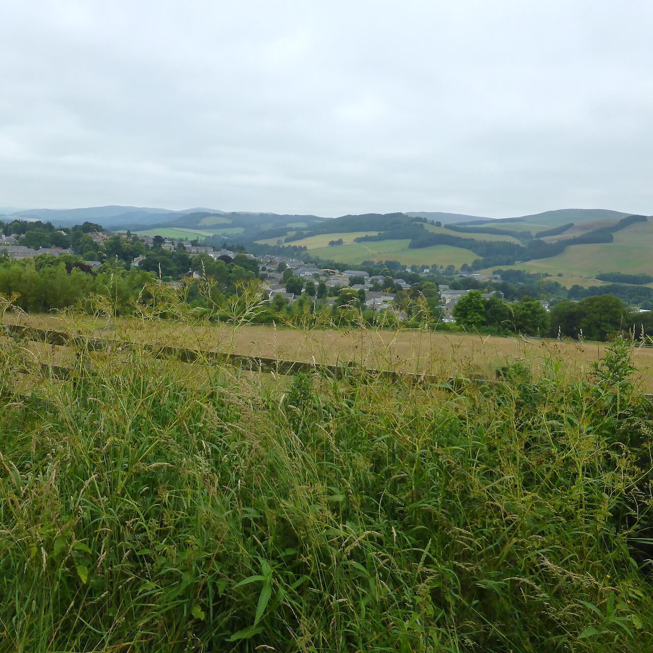 View looking back over Selkirk