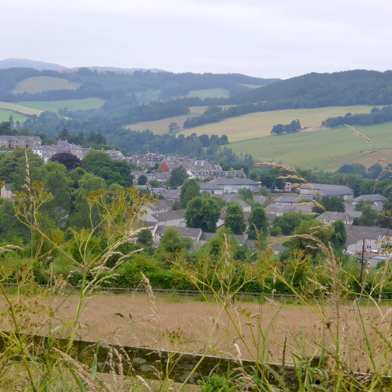 View over Selkirk