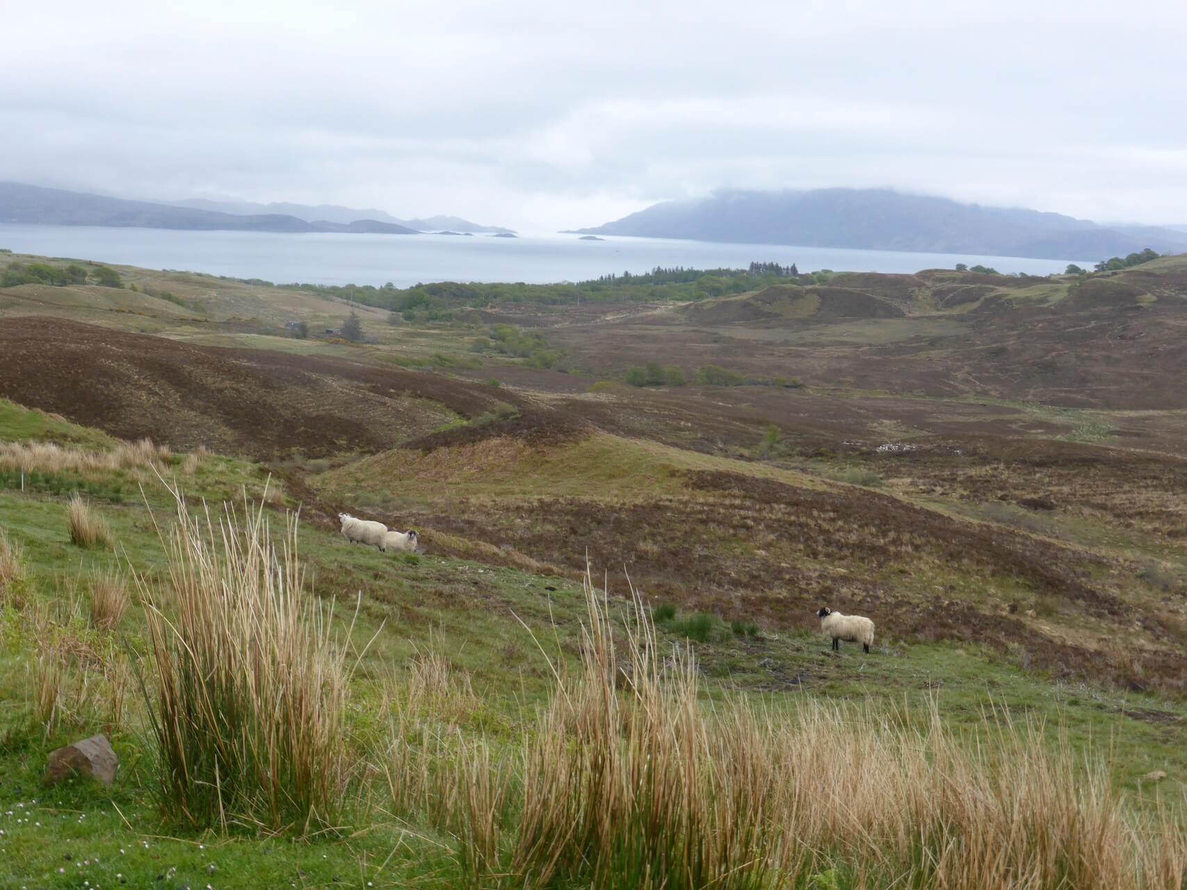 View above Kilbeg to Loch Hourn